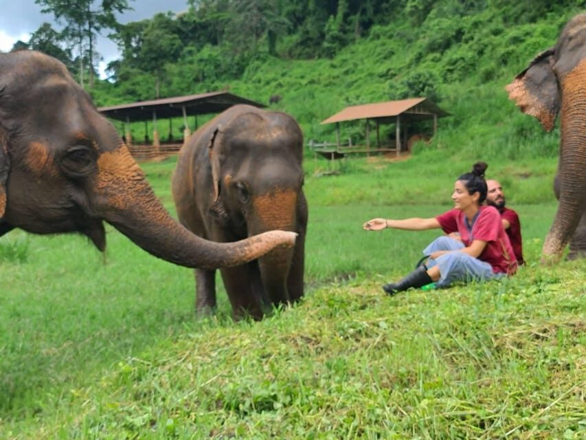 Rantong elephant sanctuary Chiangmai - Bathing time: a highlight that also needs the right mindset