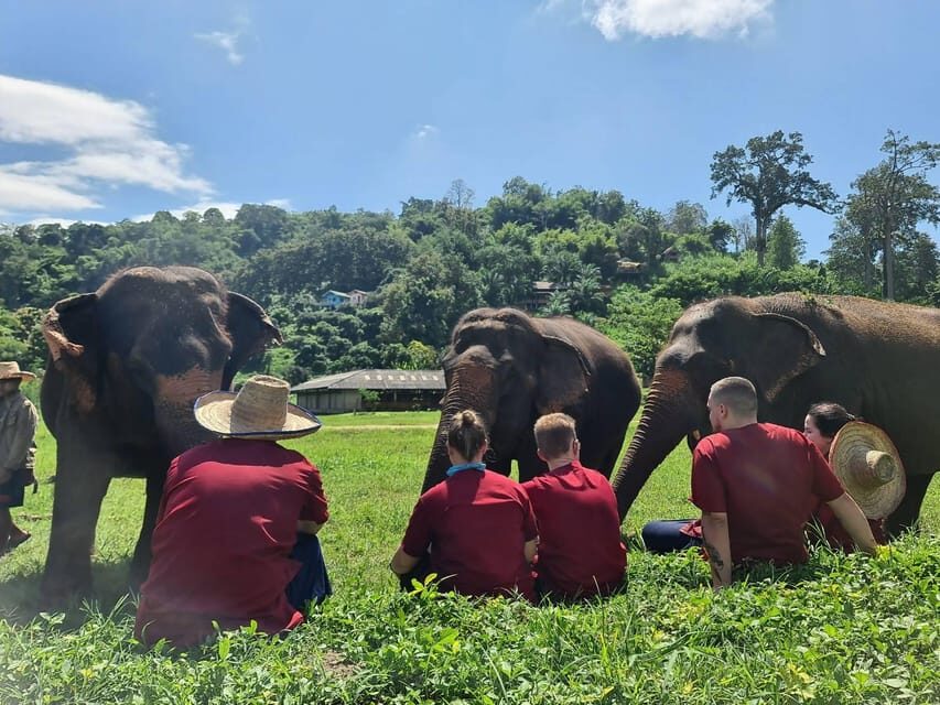 Rantong elephant sanctuary Chiangmai - Ethics and the sanctuary label: how to approach this responsibly