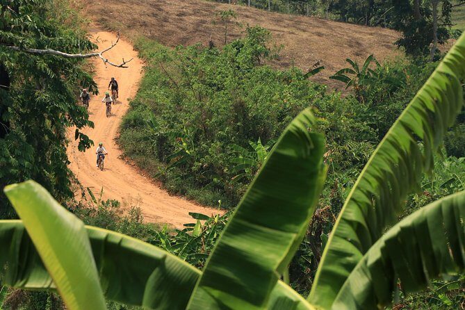 Rural Explorer Mountain Biking Tour Chiang Mai - Quick Hits