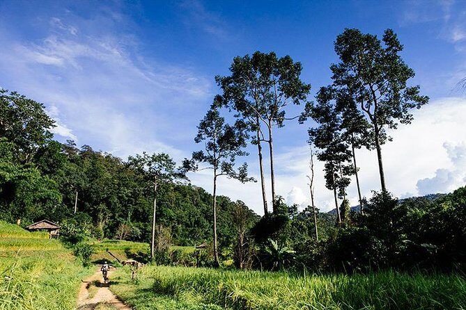 Rural Explorer Mountain Biking Tour Chiang Mai - Rural Chiang Mai by Kona: The Real Point of This 7-Hour Ride