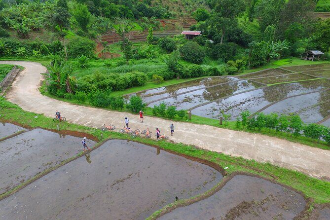 Rural Explorer Mountain Biking Tour Chiang Mai - Rural Village Riding With Frequent Stops and Real Snack Breaks