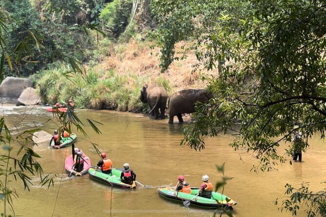 Safety whitewater rafting in Chiangmai by Khampan Rafting - Maetaeng River Rapids for First-Timers and Families (Grade 2–4)