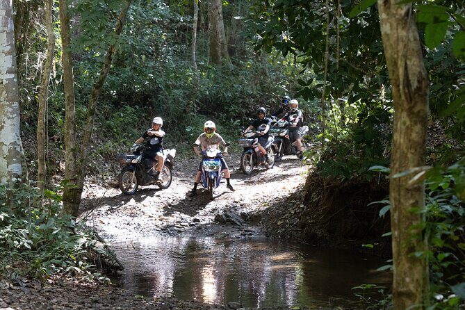 Scooter Adventure with elephants, views and FUN drive yourself - A self-drive Chiang Mai day built for speed (without feeling rushed)