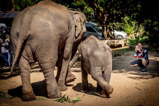Scooter Adventure with elephants, views and FUN drive yourself - Guides and group feel: where the best moments come from