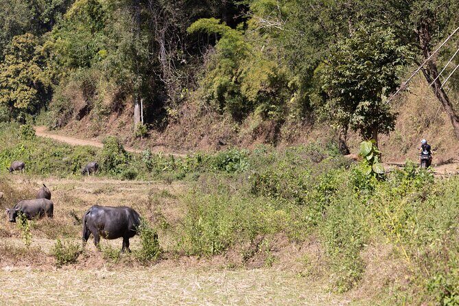Scooter Adventure with elephants, views and FUN drive yourself - The drive itself: viewpoints, caves, woods, and off-road fun