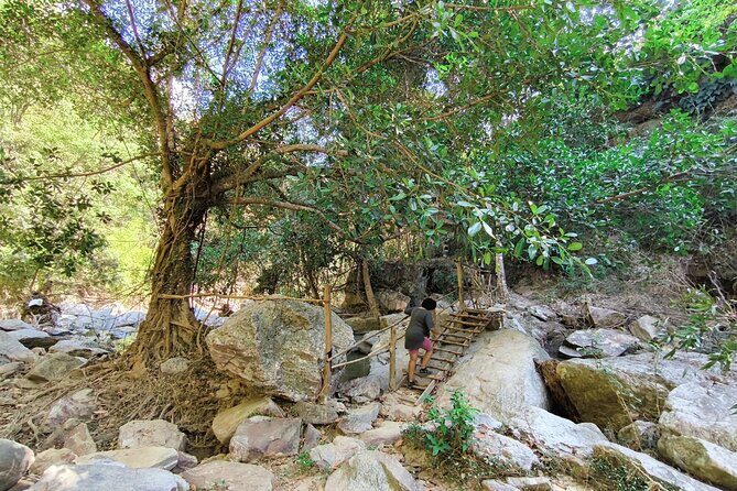 Secret Waterfall and Bamboo Rafting from Chiang Mai - Lunch on a local schedule: fueling your next Chiang Mai plan