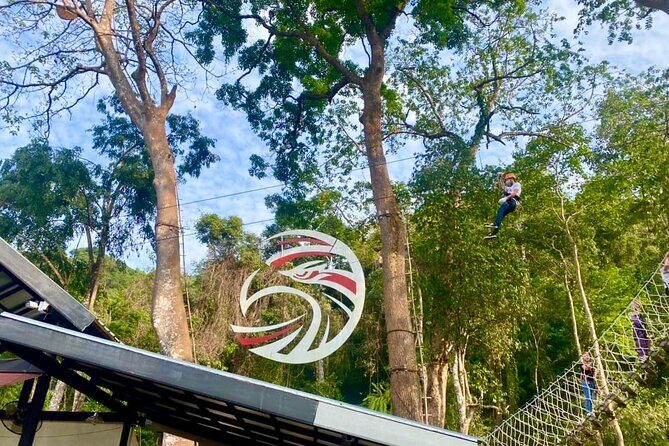 Sky Hawk Zipline Experience in Chiang Mai - The zipline thrills: what the 18 lines feel like in real life