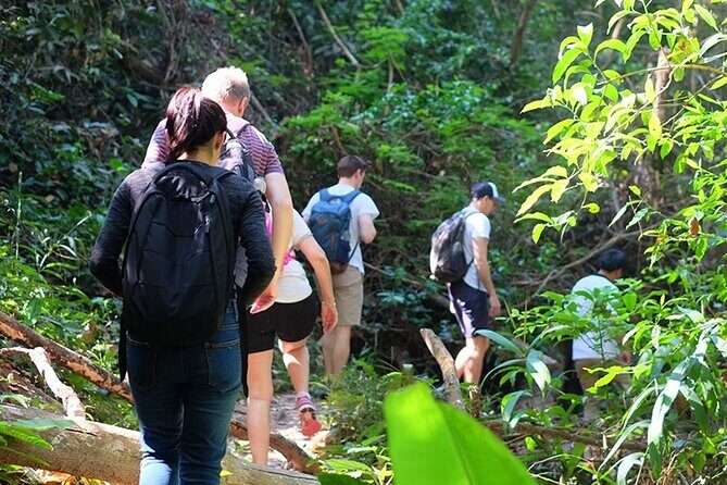 Small Group : Trekking Trip in Chiang Mai (Doi Suthep Area) with Market Tour - Why This Doi Suthep Trek Feels Easier Than DIY