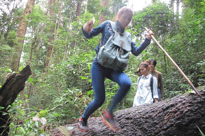 Small Group : Trekking Trip in Chiang Mai (Doi Suthep Area) with Market Tour - Doi Suthep Temple Stop: Culture, Stairs, and Good Legs