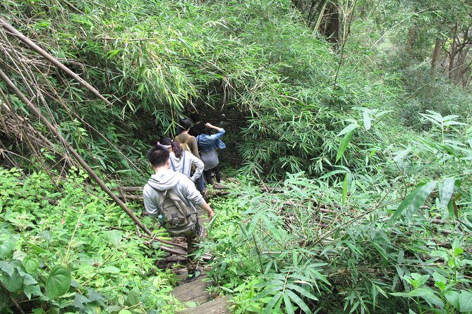 Small Group : Trekking Trip in Chiang Mai (Doi Suthep Area) with Market Tour - Price and Value: Is $62.91 Fair for a 6-Hour Day?