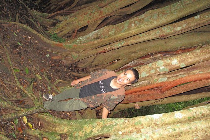 Small Group : Trekking Trip in Chiang Mai (Doi Suthep Area) with Market Tour - The Downhill Trek to Monthathan Waterfall (1.45 Hours): Pace, Plants, and Bugs