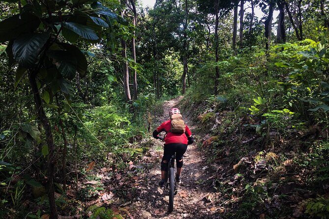 Smoke on the Water Trail Mountain Biking Tour Chiang Mai - Bikes and safety gear: what “YT Jeffsy full suspension” means for you