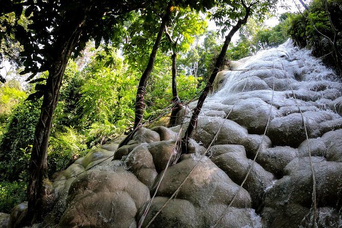 Sticky Waterfall Cycling Tour - Key points you’ll care about