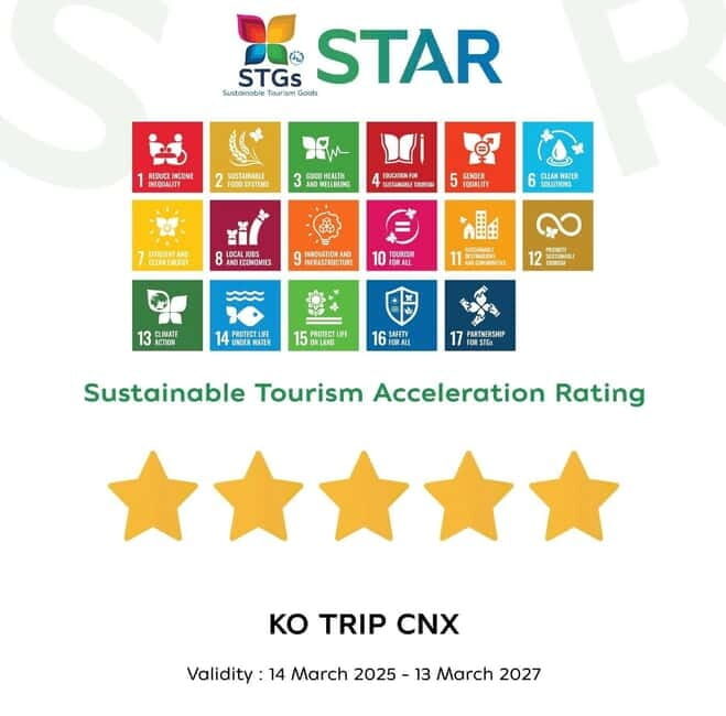 Taste of Chiang Mai: Michelin Guide & Street Food Tour - Price and what you’re really paying for ($31 for 2 hours)