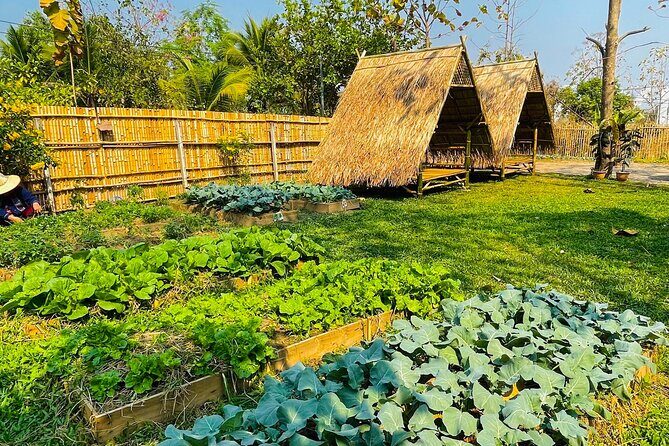 Team Aim Thai Cooking School (#1 Cooking Class in Chiang Mai) - Price and Value: What You’re Really Getting for $34.01