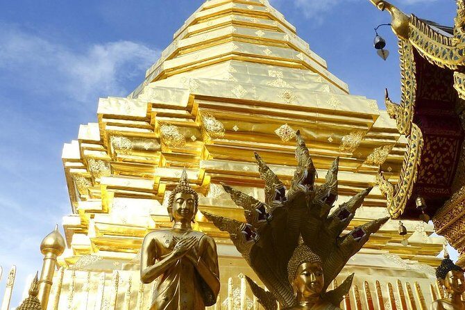 The Best Chiang Mai City Private Tour: Famous Temples & Viewpoint - Gems Gallery: a short museum stop that resets your brain