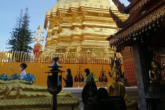 The Best Full Day Tour: Doi Suthep, Wat Phalat, Sticky Waterfall - Bua Thong Sticky Waterfall (Nam Phu Chet Si): climb, shower, and plan your footwear