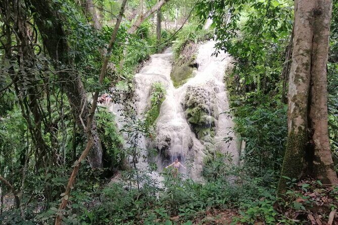 The Best Full Day Tour: Doi Suthep, Wat Phalat, Sticky Waterfall - Price and value: what’s included in the $48.67 full-day package
