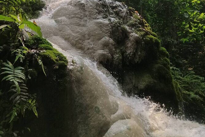 The Best Full Day Tour: Doi Suthep, Wat Phalat, Sticky Waterfall - The guide factor: how Mongkol and others shaped the experience