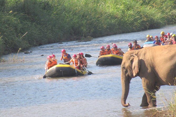 Top Pick - Full or Half Day @Elephant in Wild Sanctuary ChiangMai - Rafting reality check: fun rapids, usually not a hardcore race