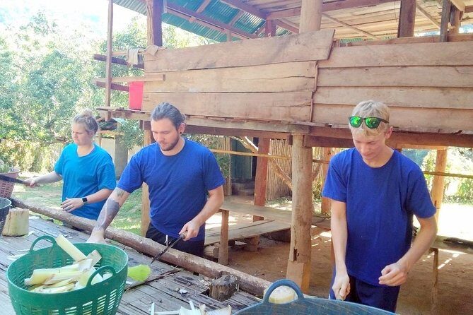 Top Pick - Full or Half Day @Elephant in Wild Sanctuary ChiangMai - Logistics from Chiang Mai: pickup, drive time, and drop-off pacing
