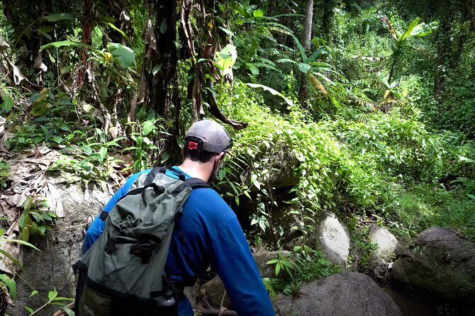 Trek to a Jungle Waterfall - 8:00 AM Start: How the Day Unfolds