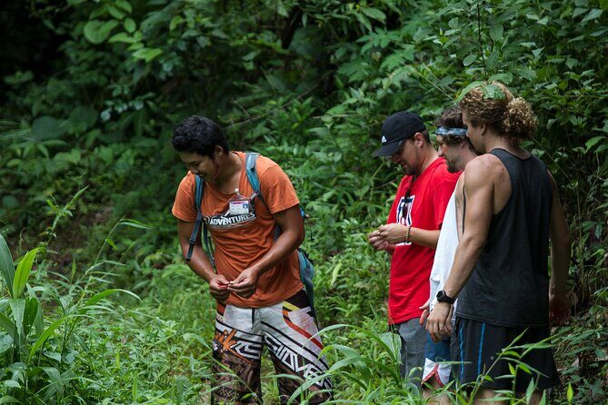 Trek to a Jungle Waterfall - The 1.6 km Jungle Walk to a 10-Metre Waterfall