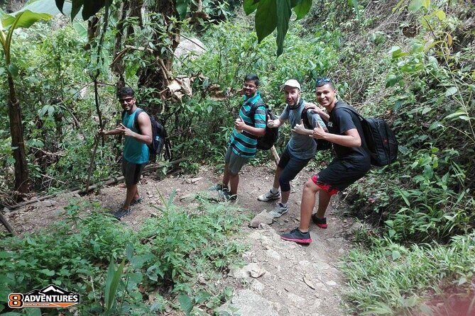 Trek to a Jungle Waterfall - Guides Who Make Plants Feel Like Stories
