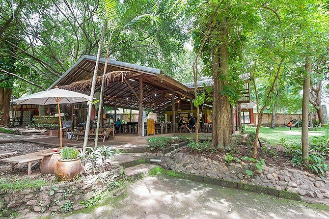 Trek to a Jungle Waterfall - Families, First-Time Hikers, and People Who Want Nature Without Chaos
