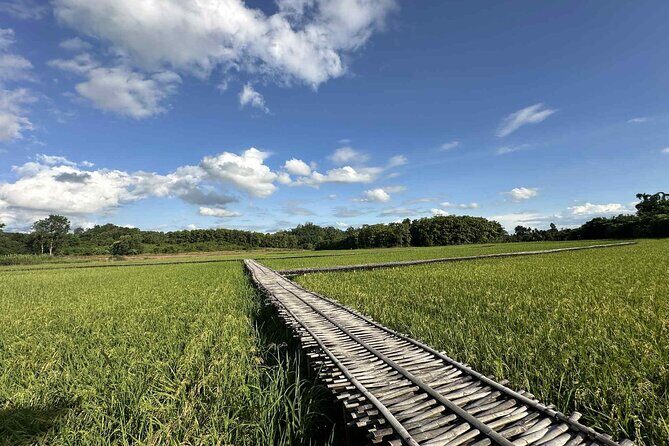 Unseen Sukhothai Province 2 Days 1 Night Private Tour - Ban Na Tan Chan mud cloth village: crafts, bamboo, and overnight local life