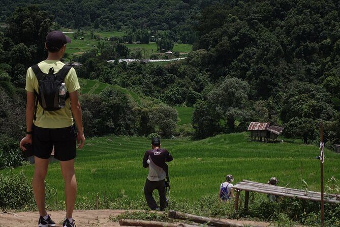 Waterfall Wanderer Doi Inthanon Hiking Tour - Lunch and Coffee Made From Local Beans