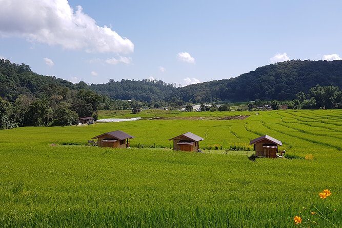 Wow! Doi Inthanon National Park Adventure, Lunch & Entry Included - Timing, Traffic, and Weather: The Stuff That Can Make or Break the Day