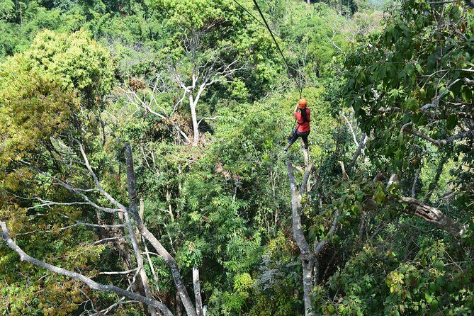 Zipline Adventure at Skyline Jungle Luge Chiang Mai - The zipline circuit: 14 lines, 24 platforms, and the nearly 900m finish