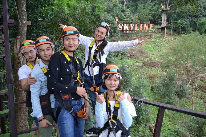 Zipline Adventure at Skyline Jungle Luge Chiang Mai - Jungle learning: plants, animals, and a short nature trail
