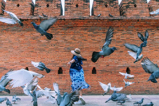 ️ Chiang Mai Instagram Tour: Most Famous Spots (Private and All-Inclusive) - Old-City Icons: Wat Chedi Luang, Wat Umong, and Wat Chiang Man
